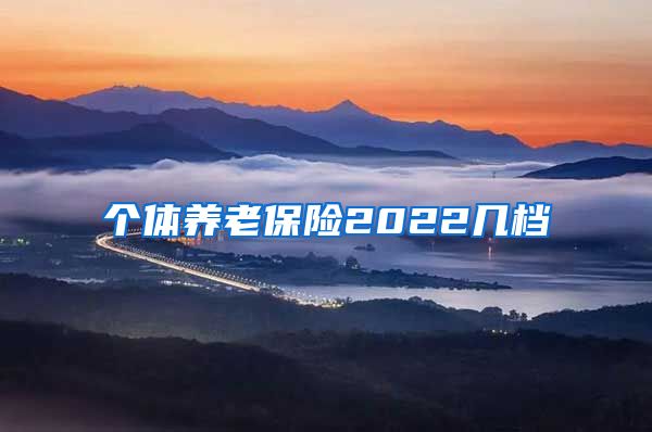 个体养老保险2022几档