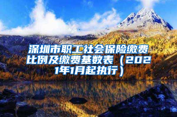 深圳市职工社会保险缴费比例及缴费基数表（2021年1月起执行）