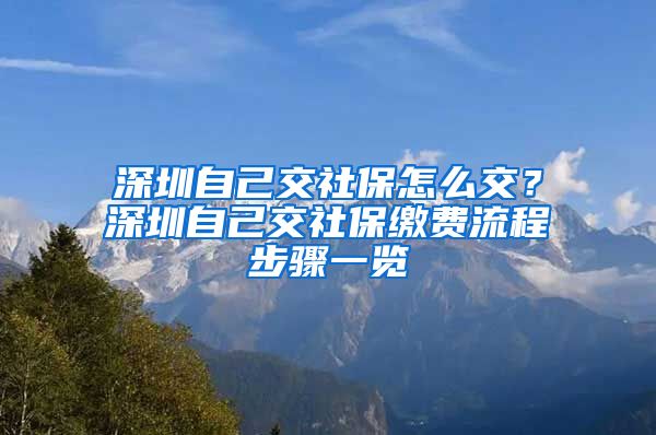 深圳自己交社保怎么交？深圳自己交社保缴费流程步骤一览