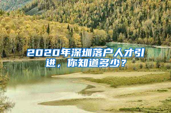 2020年深圳落户人才引进，你知道多少？