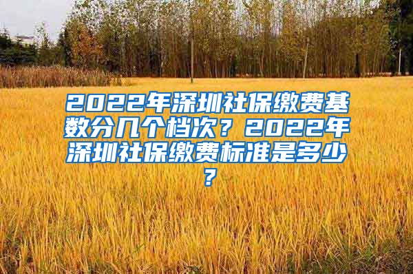 2022年深圳社保缴费基数分几个档次？2022年深圳社保缴费标准是多少？