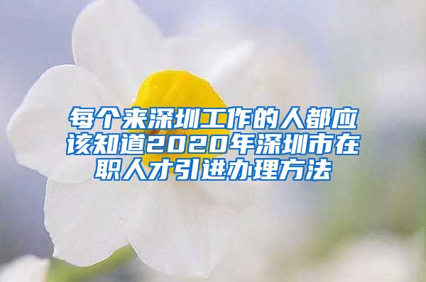 每个来深圳工作的人都应该知道2020年深圳市在职人才引进办理方法