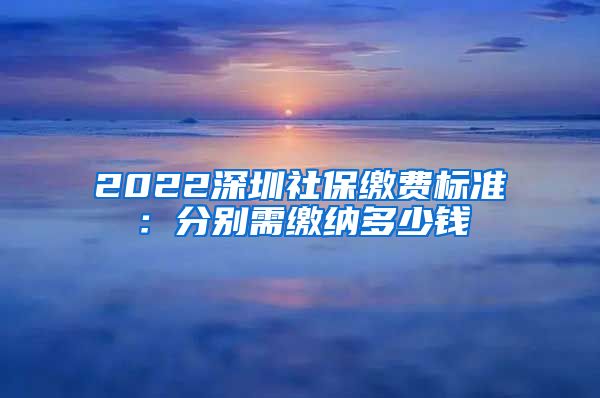 2022深圳社保缴费标准：分别需缴纳多少钱