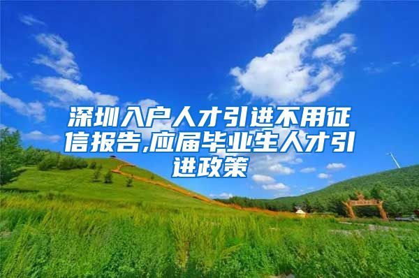 深圳入户人才引进不用征信报告,应届毕业生人才引进政策