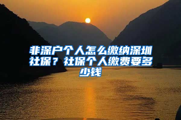 非深户个人怎么缴纳深圳社保？社保个人缴费要多少钱