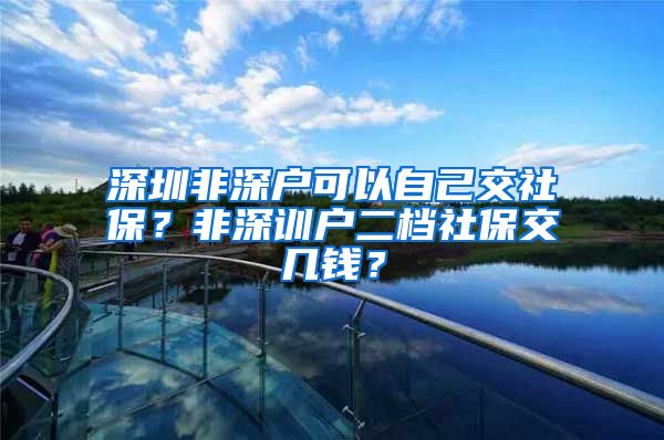 深圳非深户可以自己交社保？非深训户二档社保交几钱？