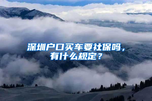 深圳户口买车要社保吗，有什么规定？