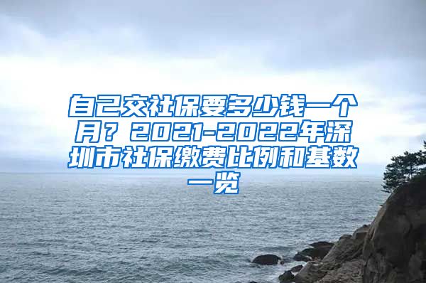 自己交社保要多少钱一个月？2021-2022年深圳市社保缴费比例和基数一览