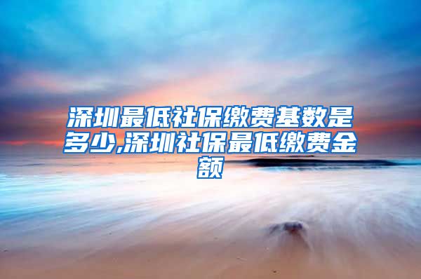 深圳最低社保缴费基数是多少,深圳社保最低缴费金额