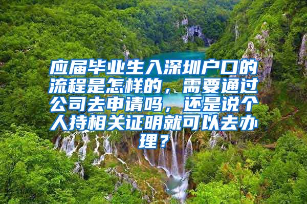 应届毕业生入深圳户口的流程是怎样的，需要通过公司去申请吗，还是说个人持相关证明就可以去办理？