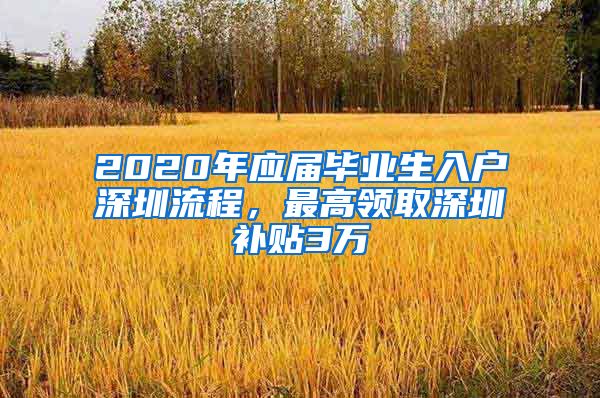 2020年应届毕业生入户深圳流程，最高领取深圳补贴3万