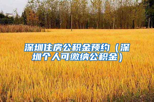 深圳住房公积金预约（深圳个人可缴纳公积金）