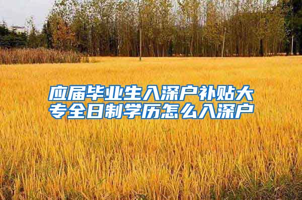 应届毕业生入深户补贴大专全日制学历怎么入深户