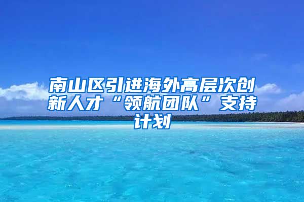 南山区引进海外高层次创新人才“领航团队”支持计划