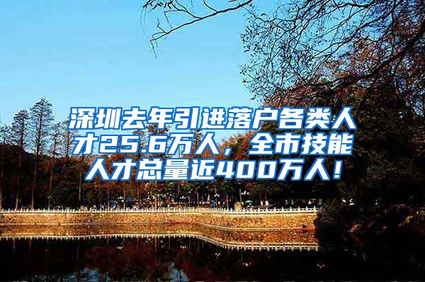 深圳去年引进落户各类人才25.6万人，全市技能人才总量近400万人！