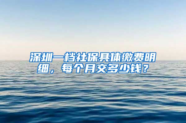 深圳一档社保具体缴费明细，每个月交多少钱？