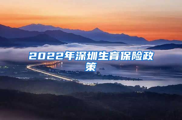 2022年深圳生育保险政策