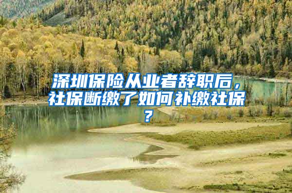 深圳保险从业者辞职后，社保断缴了如何补缴社保？