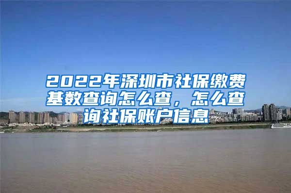 2022年深圳市社保缴费基数查询怎么查，怎么查询社保账户信息