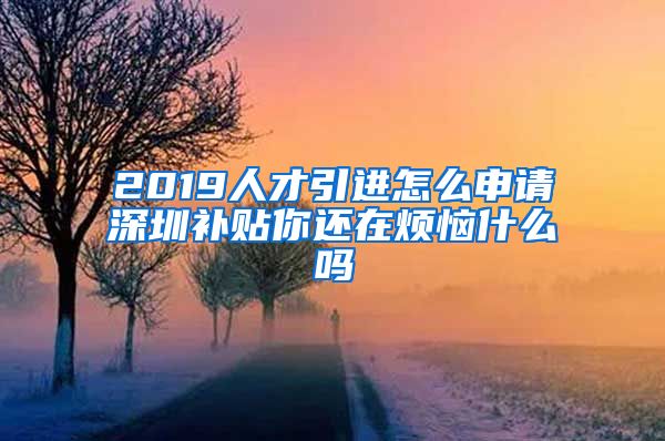 2019人才引进怎么申请深圳补贴你还在烦恼什么吗