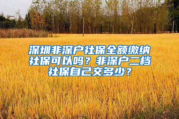 深圳非深户社保全额缴纳社保可以吗？非深户二档社保自己交多少？