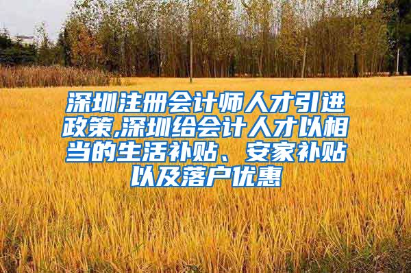 深圳注册会计师人才引进政策,深圳给会计人才以相当的生活补贴、安家补贴以及落户优惠