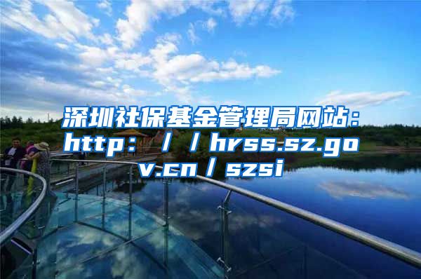 深圳社保基金管理局网站：http：／／hrss.sz.gov.cn／szsi