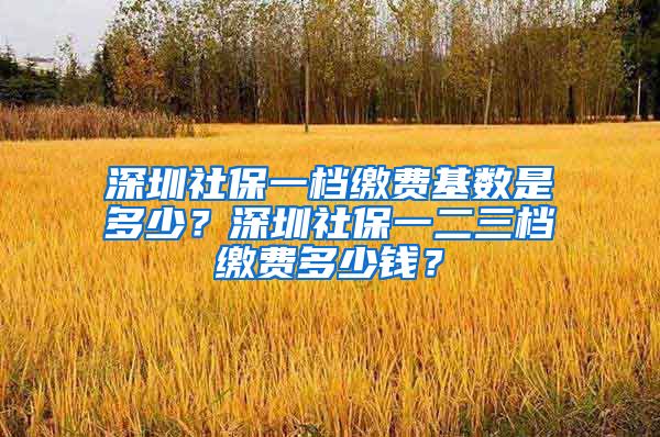 深圳社保一档缴费基数是多少？深圳社保一二三档缴费多少钱？