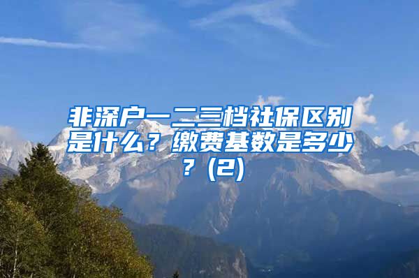 非深户一二三档社保区别是什么？缴费基数是多少？(2)