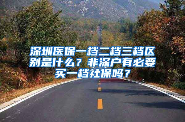 深圳医保一档二档三档区别是什么？非深户有必要买一档社保吗？