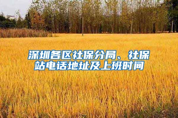 深圳各区社保分局、社保站电话地址及上班时间