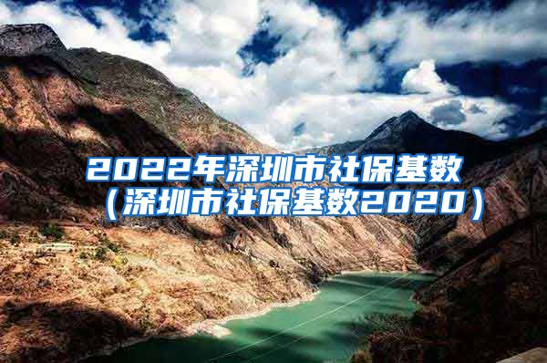 2022年深圳市社保基数（深圳市社保基数2020）