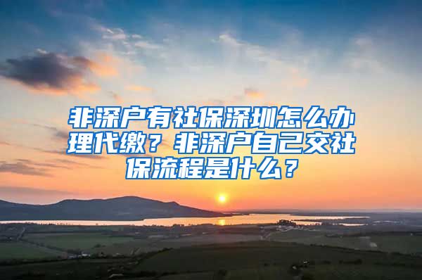 非深户有社保深圳怎么办理代缴？非深户自己交社保流程是什么？