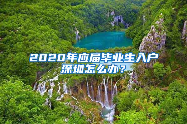 2020年应届毕业生入户深圳怎么办？