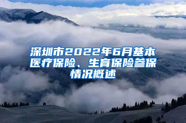 深圳市2022年6月基本医疗保险、生育保险参保情况概述