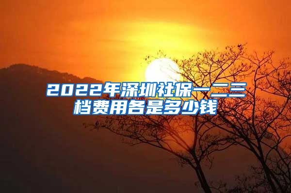 2022年深圳社保一二三档费用各是多少钱