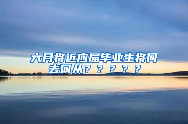 六月将近应届毕业生将何去何从？？？？？