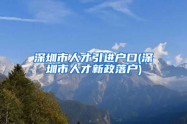 深圳市人才引进户口(深圳市人才新政落户)