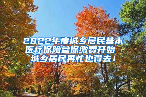 2022年度城乡居民基本医疗保险参保缴费开始 城乡居民再忙也得去！