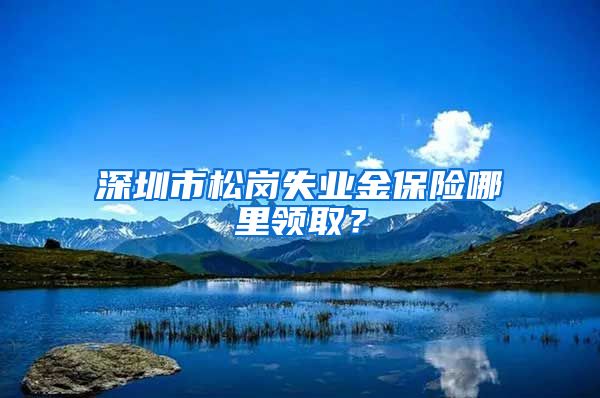 深圳市松岗失业金保险哪里领取？