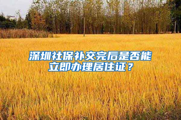 深圳社保补交完后是否能立即办理居住证？