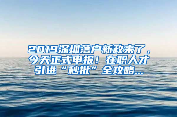 2019深圳落户新政来了，今天正式申报！在职人才引进“秒批”全攻略...