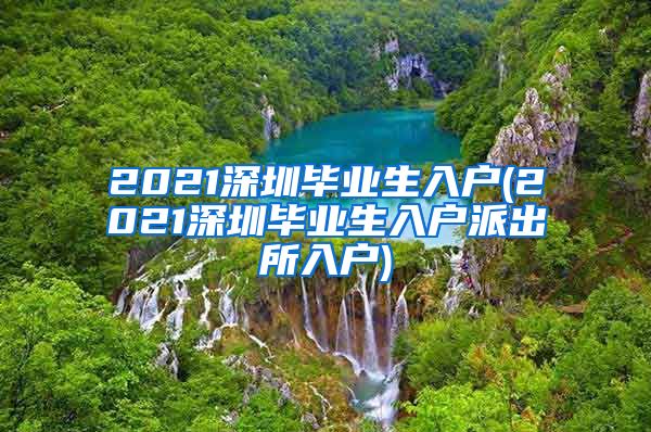 2021深圳毕业生入户(2021深圳毕业生入户派出所入户)