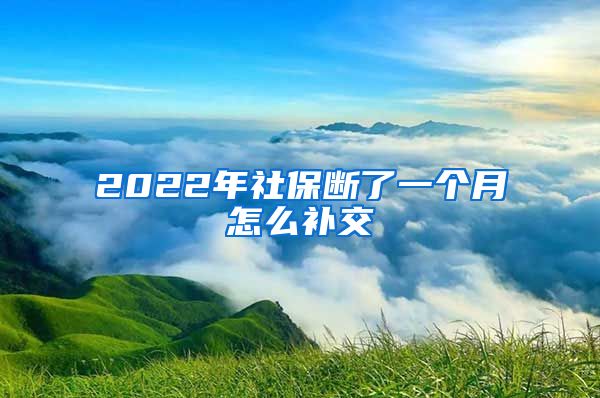 2022年社保断了一个月怎么补交