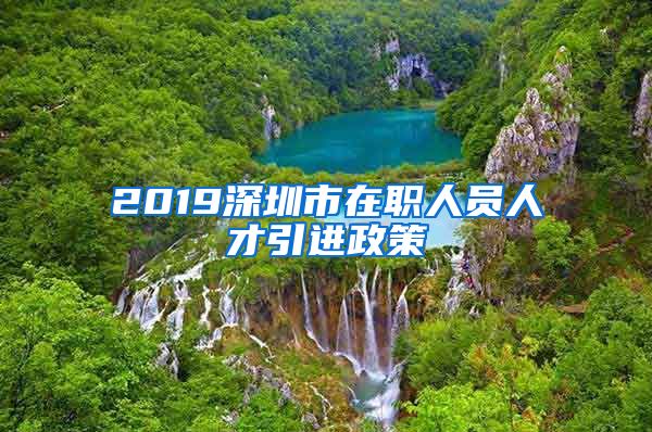 2019深圳市在职人员人才引进政策