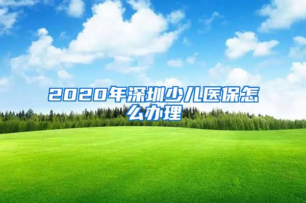 2020年深圳少儿医保怎么办理