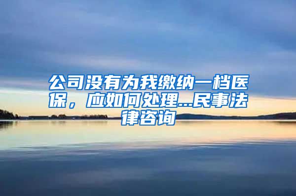 公司没有为我缴纳一档医保，应如何处理...民事法律咨询