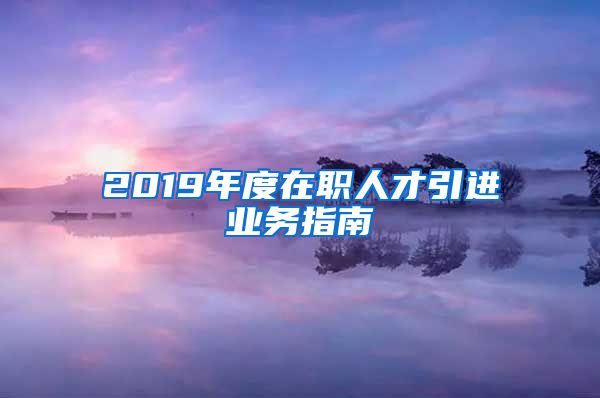 2019年度在职人才引进业务指南