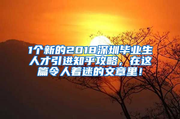 1个新的2018深圳毕业生人才引进知乎攻略，在这篇令人着迷的文章里！