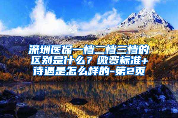 深圳医保一档二档三档的区别是什么？缴费标准+待遇是怎么样的-第2页